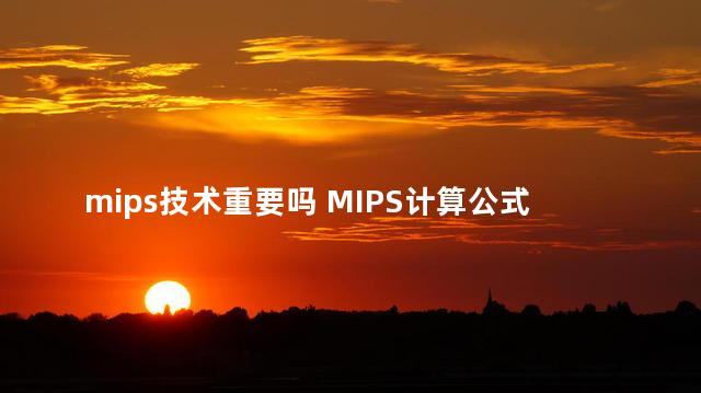 mips技术重要吗 MIPS计算公式